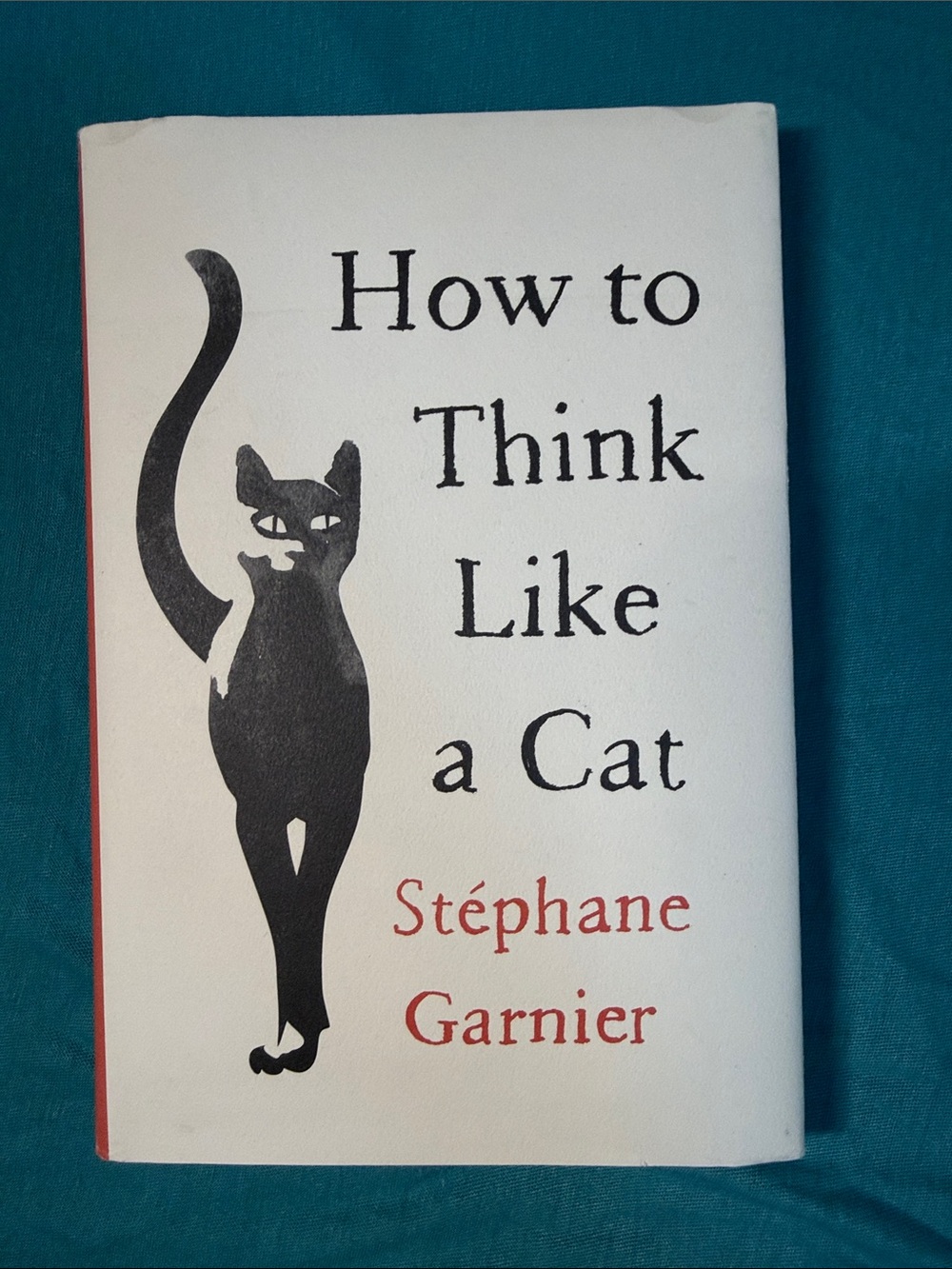 📚 How to Think Like a Cat - Stéphanie Garnier